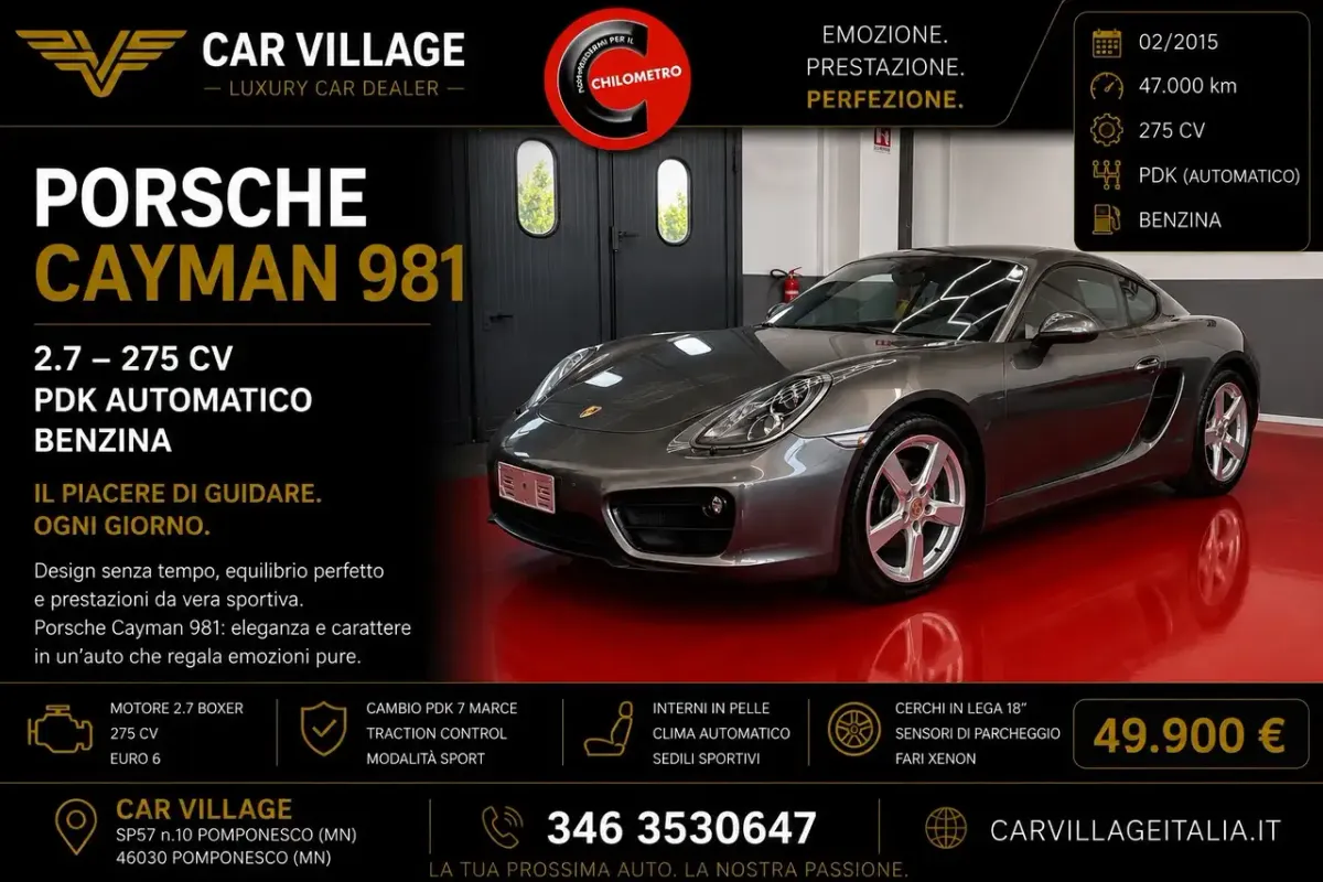 Porsche 981